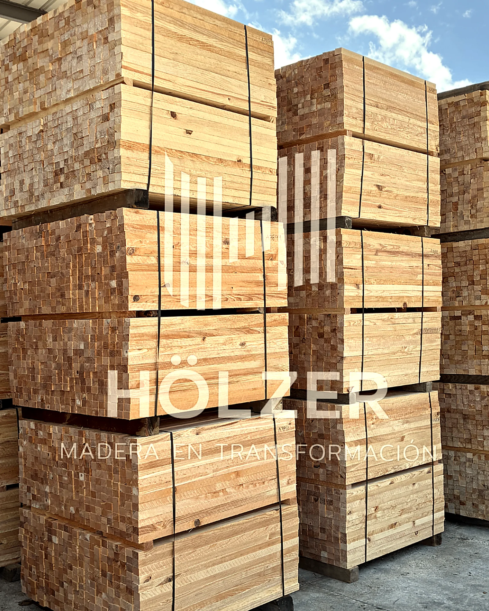 Componentes para muebles y embalaje industrial fabricados con precisión en planta Hölzer